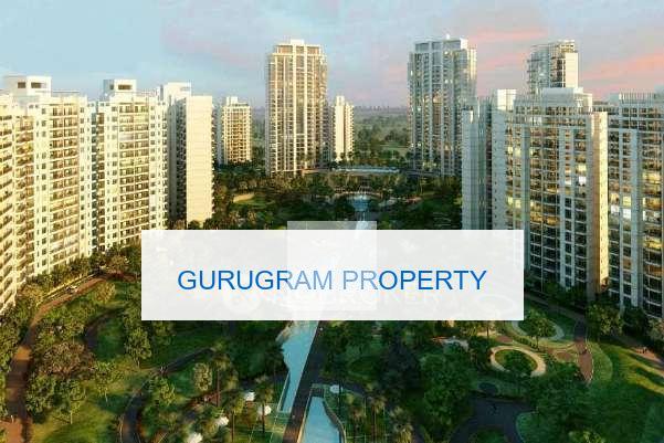 Central Park The Room