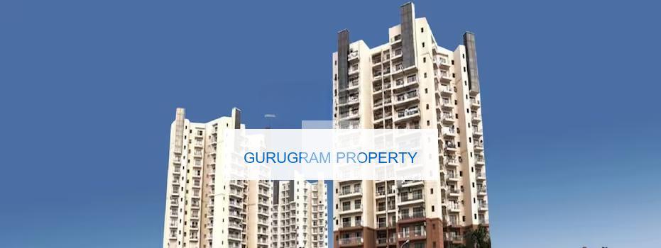 SS Delight and Splendours