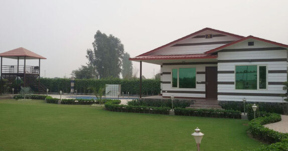 Dkrrish Alaska Green Farms