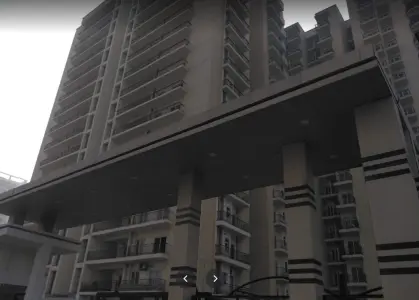 Maxblis Grand Kingston