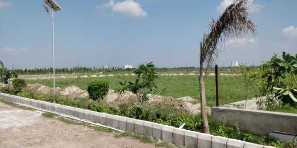 Sawera Country Farms