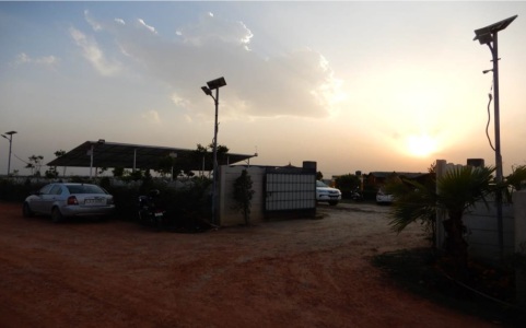 SS Group Tulip Farms