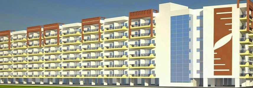 Way2 Home Lotus Height